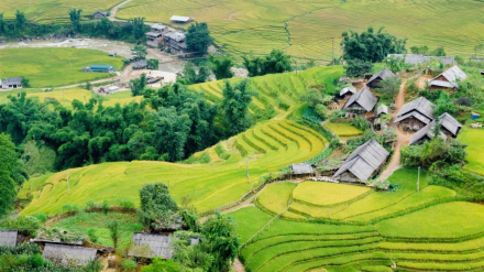 sapa.jpg