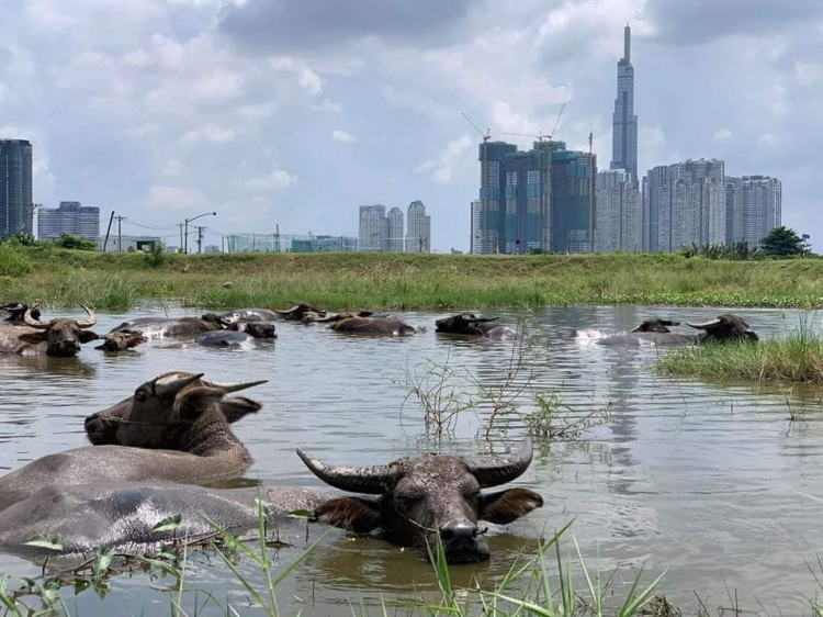 Sáp nhập- Đất Q9 có lên giá ko mấy anh?