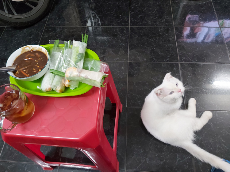 HELP!!!Làm sao để tiêu diệt được chuột cống.... HELP!!!Làm sao để tiêu diệt được chuột cống....