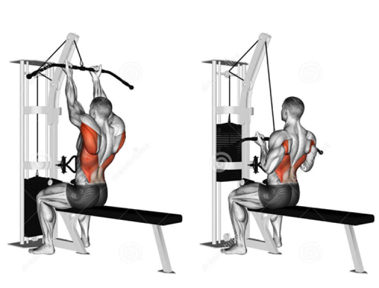 CNL có anh nào tập gym cho mình hỏi thăm tí