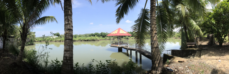 Góc nhỏ dưỡng già khi về vườn nay muốn bán. Góc nhỏ dưỡng già khi về vườn nay muốn bán.