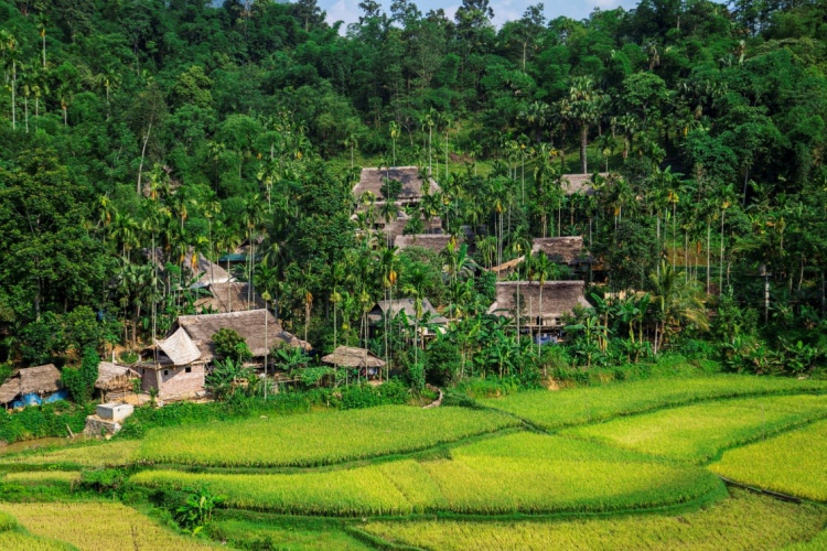 Cẩm nang du lịch thung lũng đẹp như tranh - Pù Luông