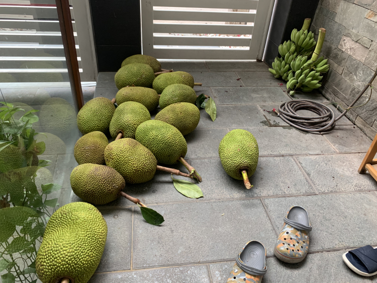 Góc nhỏ dưỡng già khi về vườn nay muốn bán. Góc nhỏ dưỡng già khi về vườn nay muốn bán.
