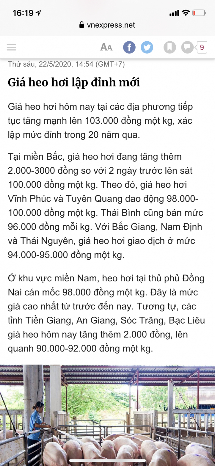 Hỏi thật? giá lợn có về lại 56-70kg hơi như vào cuối năm