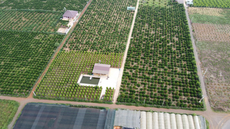 Thông tin xoay quanh BĐS Bảo Lộc. Thông tin xoay quanh BĐS Bảo Lộc.