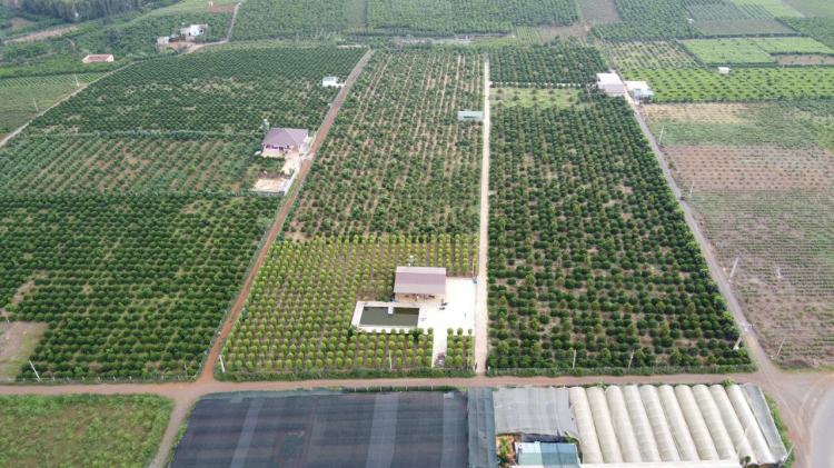 Thông tin xoay quanh BĐS Bảo Lộc.