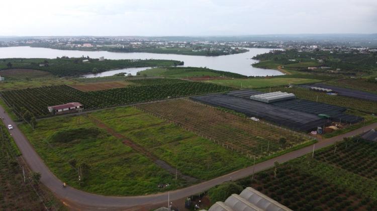 Thông tin xoay quanh BĐS Bảo Lộc. Thông tin xoay quanh BĐS Bảo Lộc.