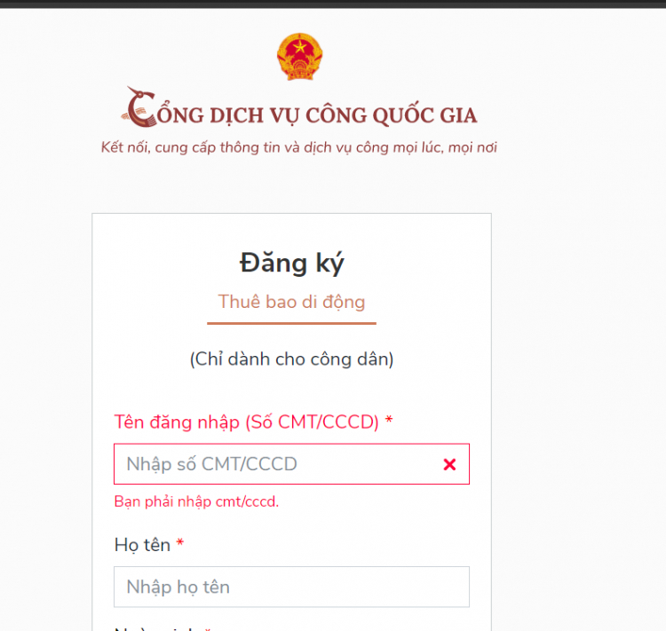 Có bác nào đã nộp phạt thành công trên Cổng Dịch vụ Công quốc gia chưa ạ?