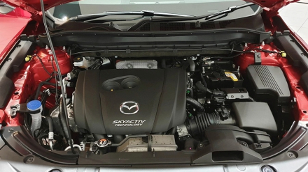 cx-8.jpg