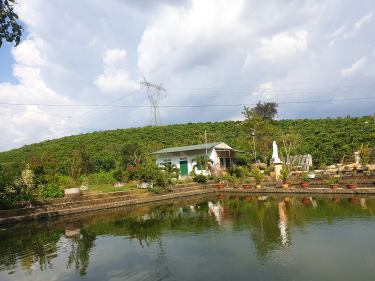 Thông tin xoay quanh BĐS Bảo Lộc.