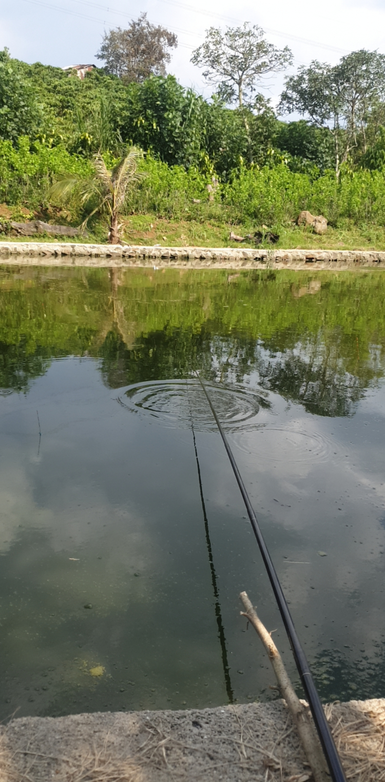 Thông tin xoay quanh BĐS Bảo Lộc. Thông tin xoay quanh BĐS Bảo Lộc.