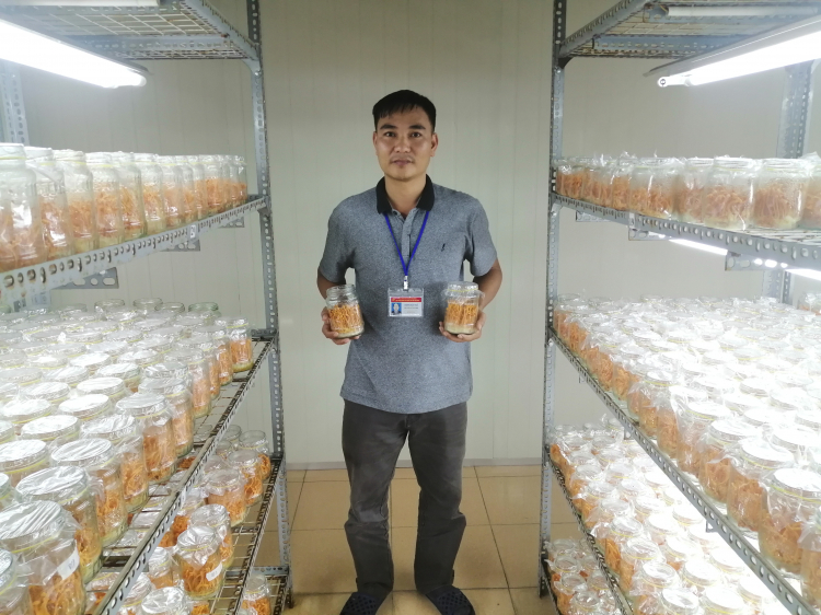 Chỗ mua Đông Trùng Hạ Thảo uy tín? Chỗ mua Đông Trùng Hạ Thảo uy tín?
