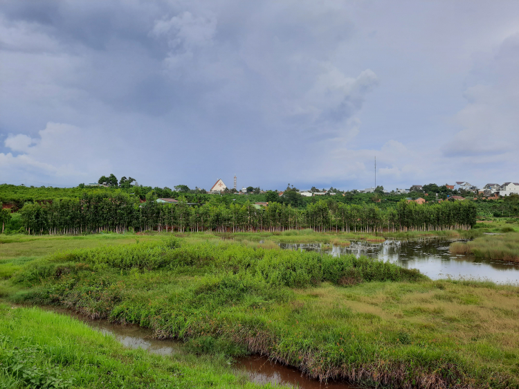 Thông tin xoay quanh BĐS Bảo Lộc.