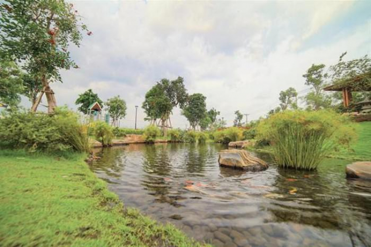Thị trường bất động sản tại Long An đã và đang thu hút nhiều nhà đầu tư lớn Thị trường bất động sản tại Long An đã và đang thu hút nhiều nhà đầu tư lớn