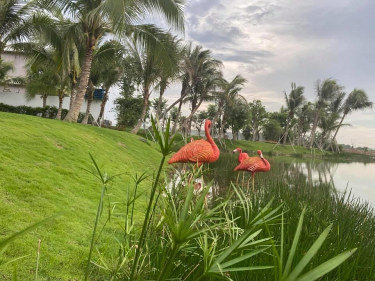 Thị trường bất động sản tại Long An đã và đang thu hút nhiều nhà đầu tư lớn Thị trường bất động sản tại Long An đã và đang thu hút nhiều nhà đầu tư lớn
