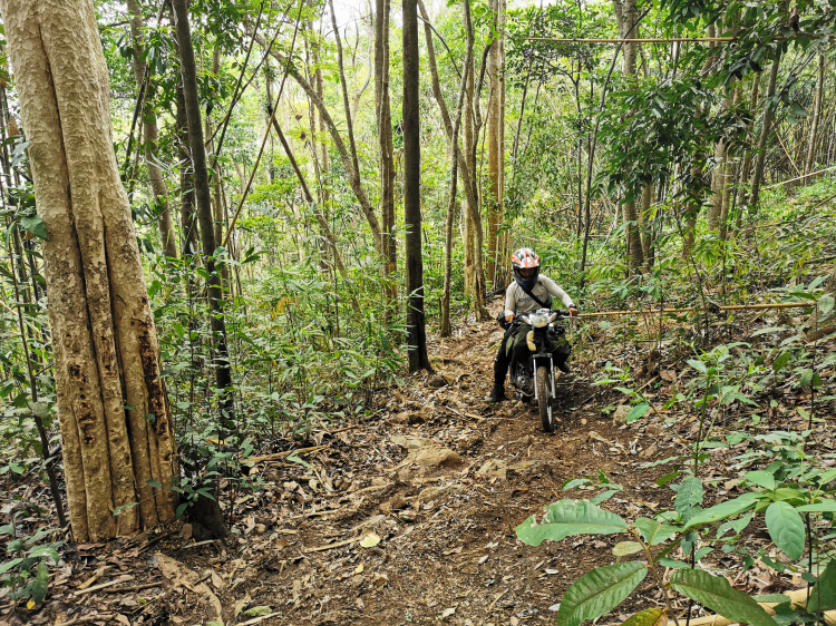 [Offroad xe 2 bánh] Đèo Gia Bắc - Di Linh