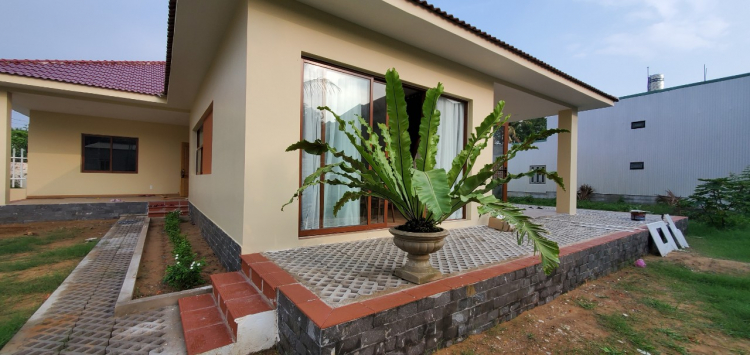 Trồng cây sân nhà phố Trồng cây sân nhà phố