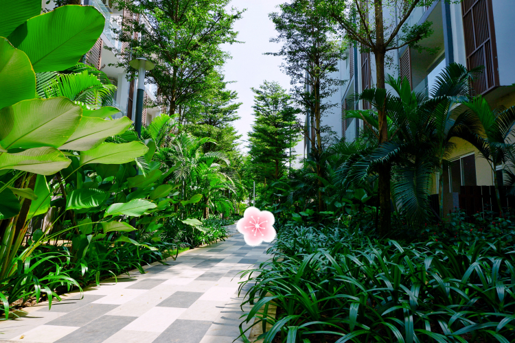 Song Hành và KDC NRC Song Hành và KDC NRC