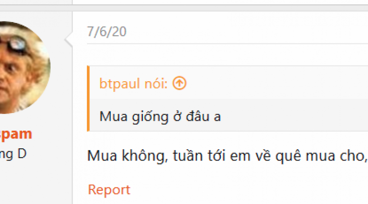 Trồng cây sân nhà phố Trồng cây sân nhà phố