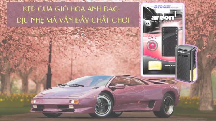 CÁCH CHỌN MÙI NƯỚC HOA Ô TÔ PHÙ HỢP TÍNH CÁCH CÁCH CHỌN MÙI NƯỚC HOA Ô TÔ PHÙ HỢP TÍNH CÁCH