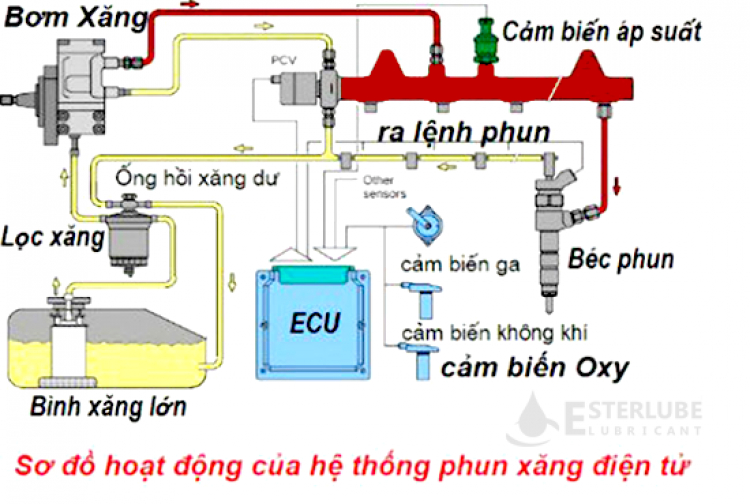 Hệ thống phun xăng GDI và EFI khác nhau thế nào?