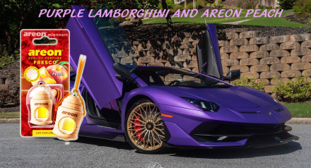 LAMBORGHINI-va-nuoc-hoa-o-to-areon-huong-dao.png