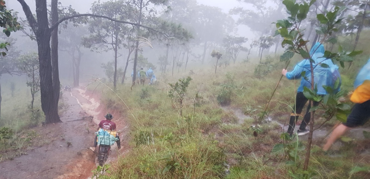 Tư vấn Giày trekking đi mưa