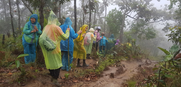 Tư vấn Giày trekking đi mưa