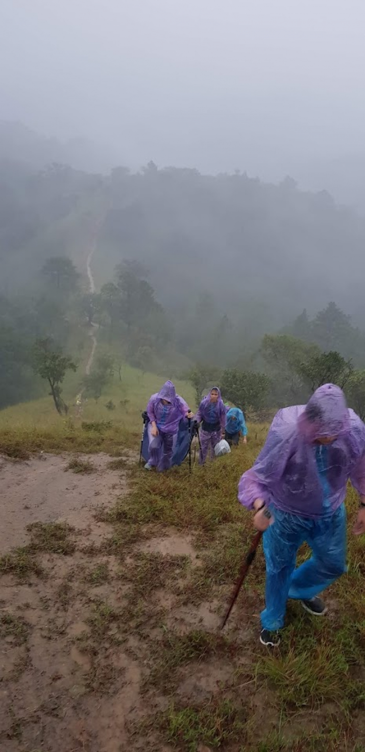 Tư vấn Giày trekking đi mưa