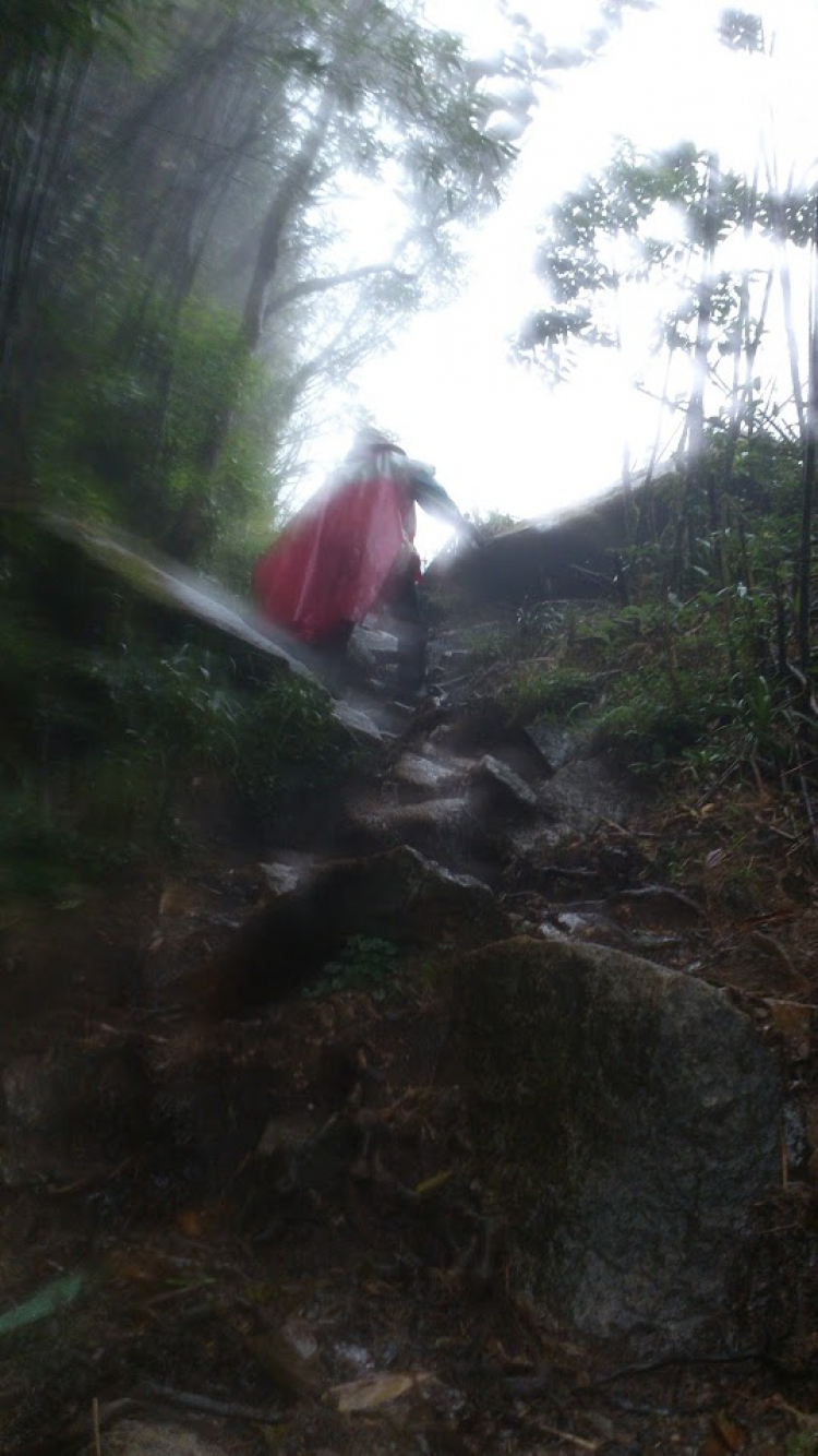Tư vấn Giày trekking đi mưa Tư vấn Giày trekking đi mưa