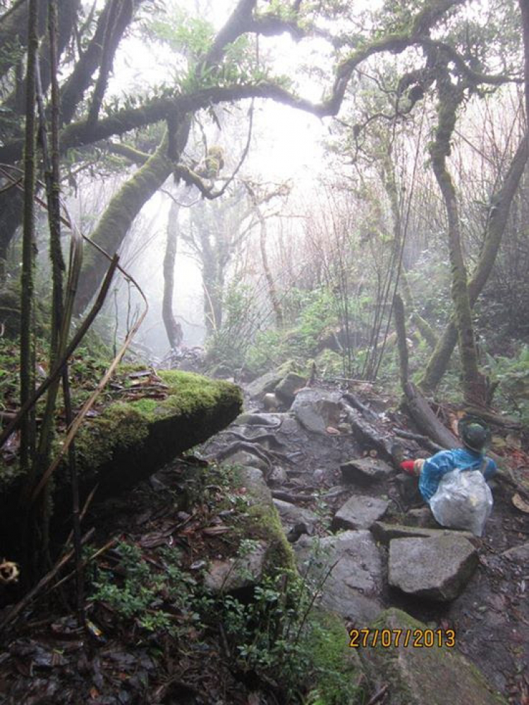 Tư vấn Giày trekking đi mưa