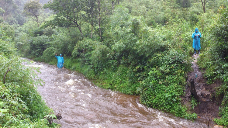 Tư vấn Giày trekking đi mưa