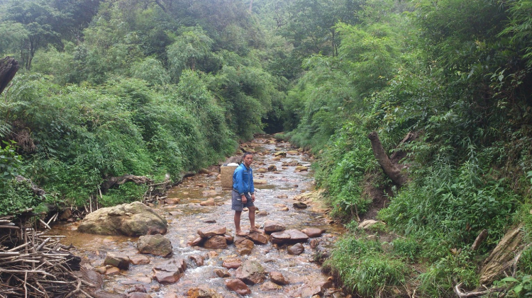 Tư vấn Giày trekking đi mưa