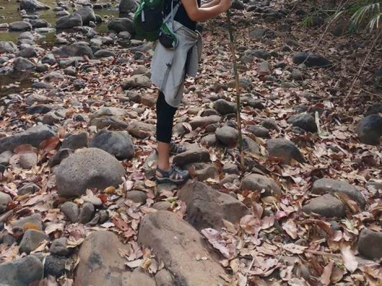 Tư vấn Giày trekking đi mưa Tư vấn Giày trekking đi mưa