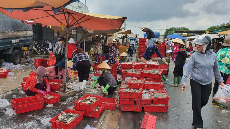 Thứ 5 đi Vũng tàu có hay bị kẹt xe không mấy anh? Thứ 5 đi Vũng tàu có hay bị kẹt xe không mấy anh?