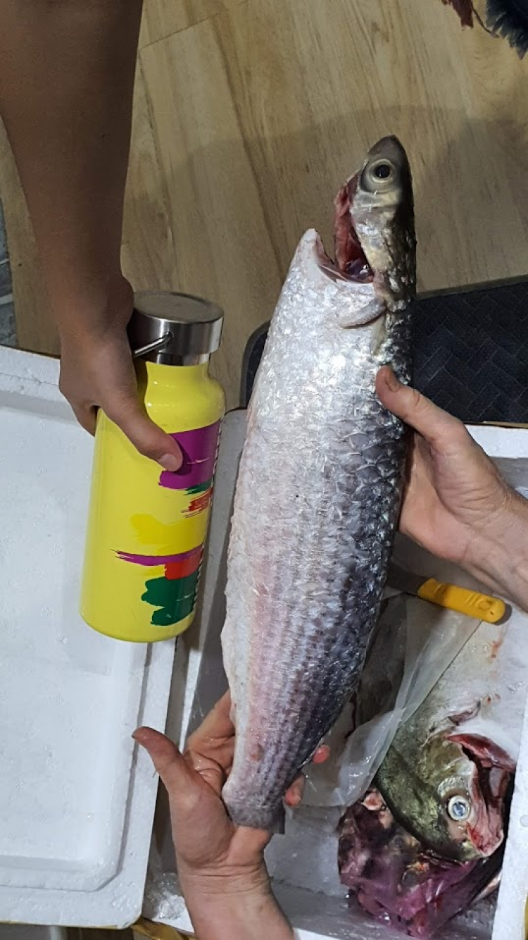 Thứ 5 đi Vũng tàu có hay bị kẹt xe không mấy anh? Thứ 5 đi Vũng tàu có hay bị kẹt xe không mấy anh?