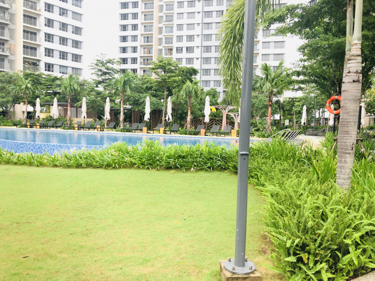 Chất lượng cuộc sống ở chung cư và nhà hẻm nhỏ trung tâm Chất lượng cuộc sống ở chung cư và nhà hẻm nhỏ trung tâm