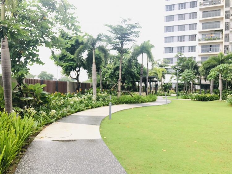 Chất lượng cuộc sống ở chung cư và nhà hẻm nhỏ trung tâm Chất lượng cuộc sống ở chung cư và nhà hẻm nhỏ trung tâm