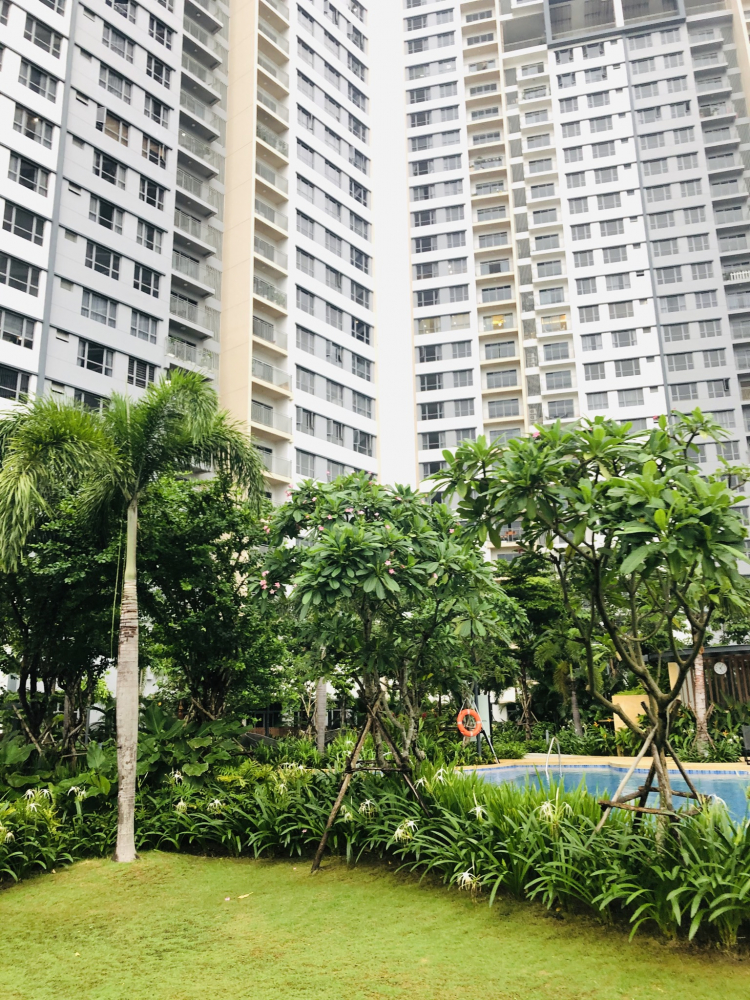 Chất lượng cuộc sống ở chung cư và nhà hẻm nhỏ trung tâm Chất lượng cuộc sống ở chung cư và nhà hẻm nhỏ trung tâm