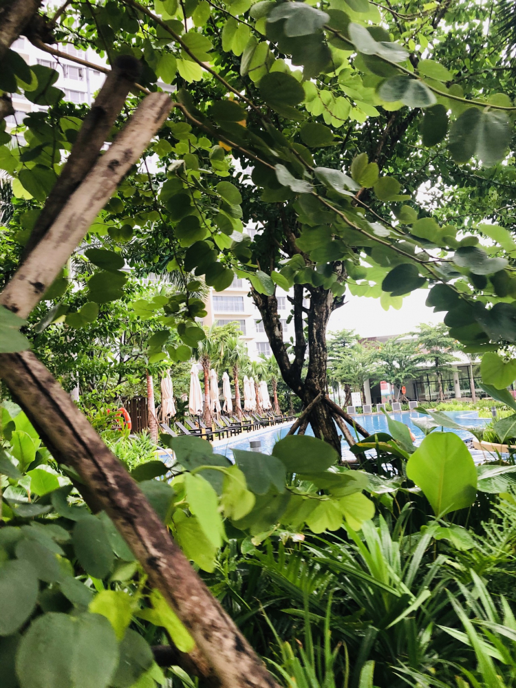 Chất lượng cuộc sống ở chung cư và nhà hẻm nhỏ trung tâm Chất lượng cuộc sống ở chung cư và nhà hẻm nhỏ trung tâm