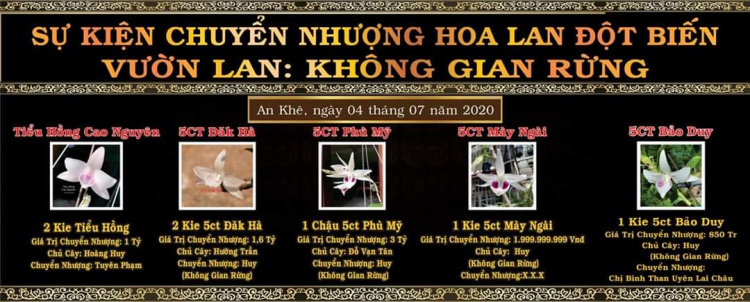 Chơi Lan gì mà mắc dữ