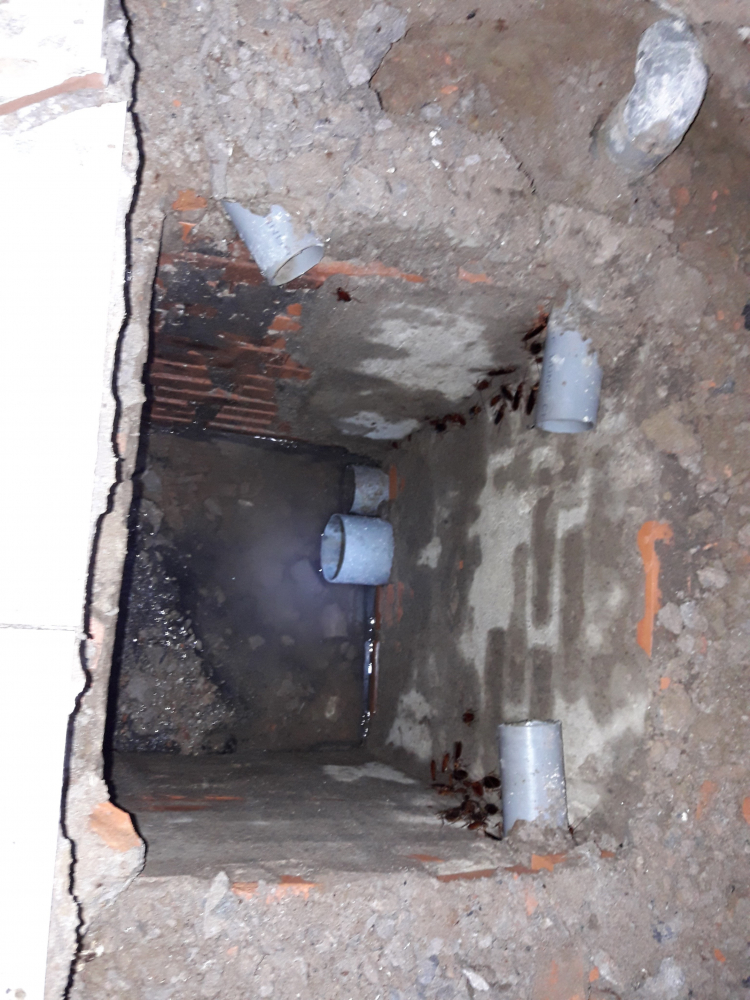 tư vấn chống hôi WC phần 2 tư vấn chống hôi WC phần 2