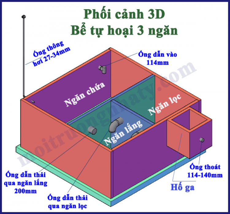 tư vấn chống hôi WC phần 2