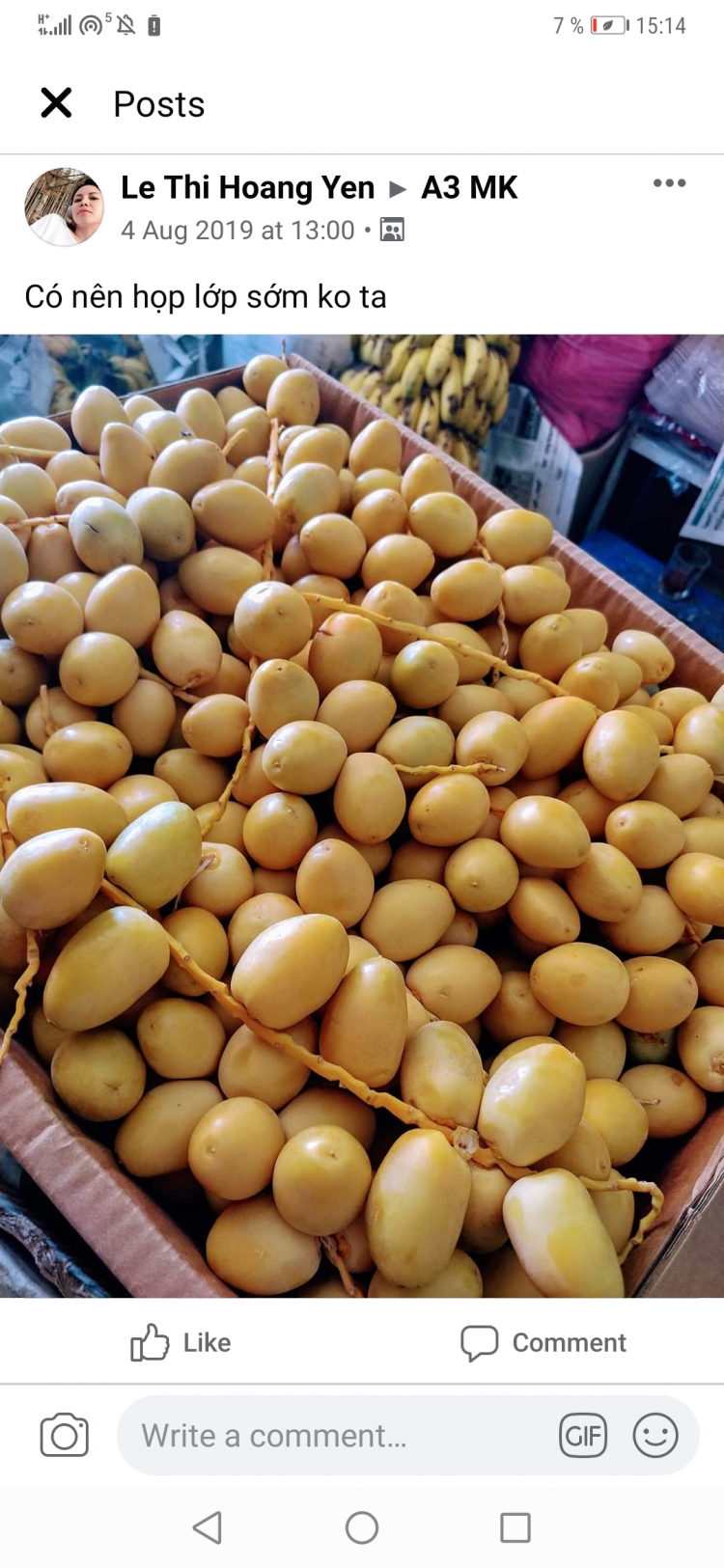 Chà là tươi Ấn Độ Chà là tươi Ấn Độ