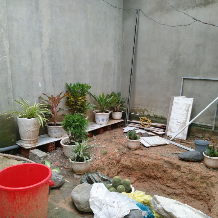 Phong thủy hồ cá koi ngoài vườn Phong thủy hồ cá koi ngoài vườn