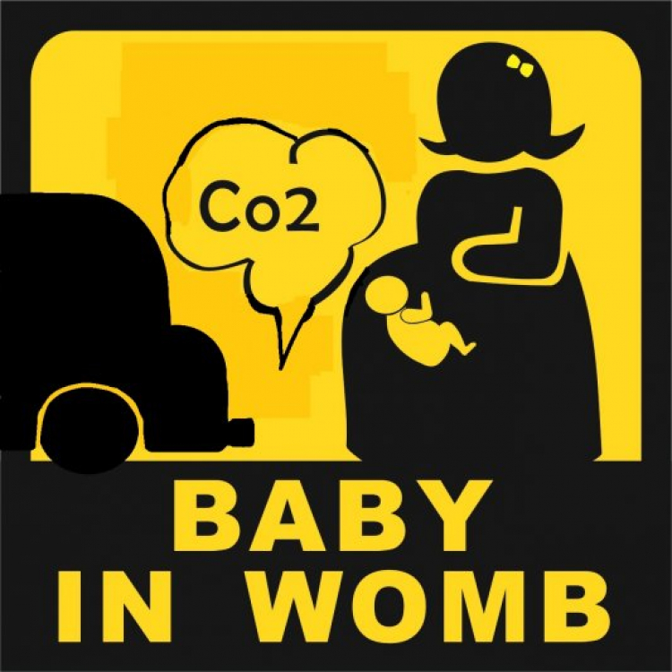 Tem xe Bà Bầu In Car Tem xe Bà Bầu In Car