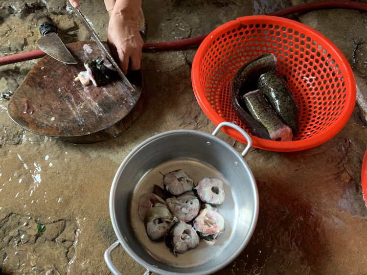 Mấy anh đi đường Trường Sơn bằng xe máy chưa? Mấy anh đi đường Trường Sơn bằng xe máy chưa?