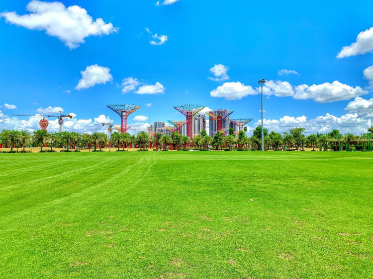 VINHOMES GRAND PARK QUẬN 9 LÀ CÁI “BẪY GẤU” CHO NHỮNG KHÁCH YÊU MÀU HỒNG! VINHOMES GRAND PARK QUẬN 9 LÀ CÁI “BẪY GẤU” CHO NHỮNG KHÁCH YÊU MÀU HỒNG!