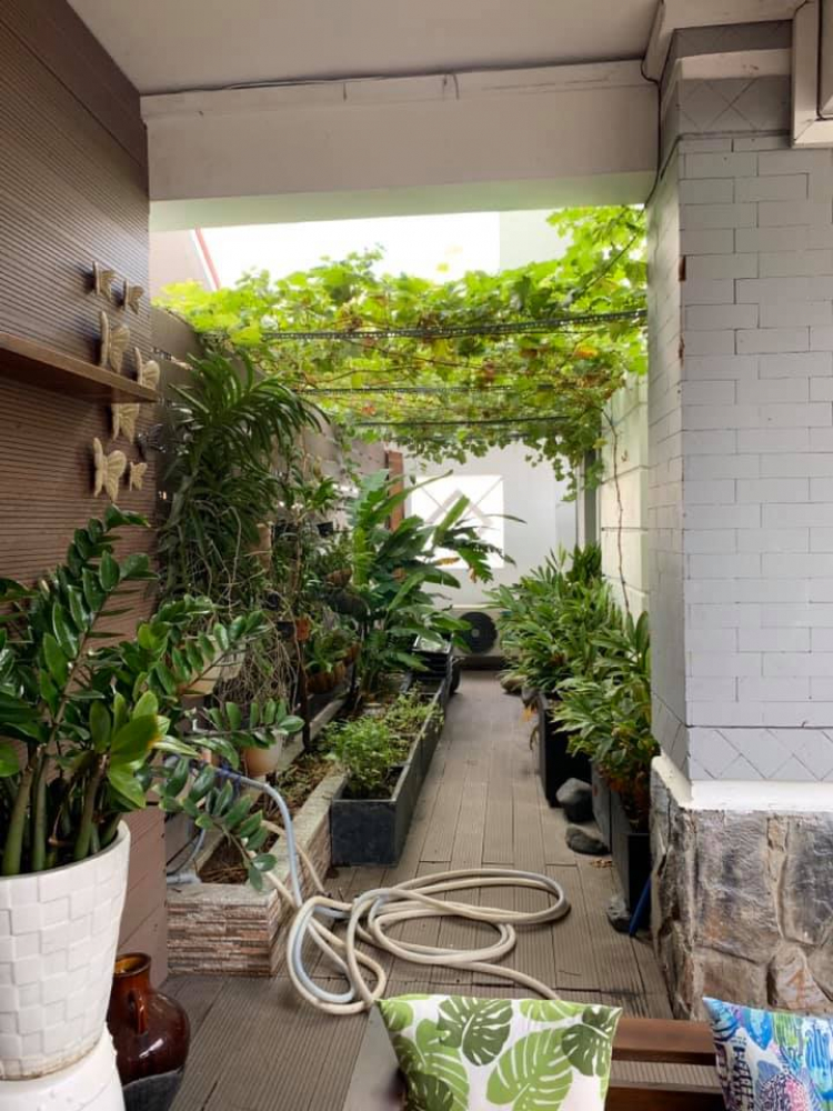 Penthouse Q2 có sân vườn Penthouse Q2 có sân vườn