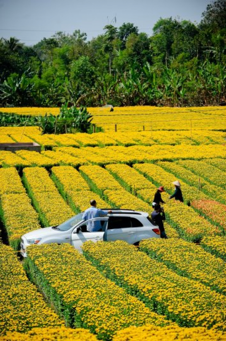 Bác nào Mirage thì vào đây giao lưu chia sẻ